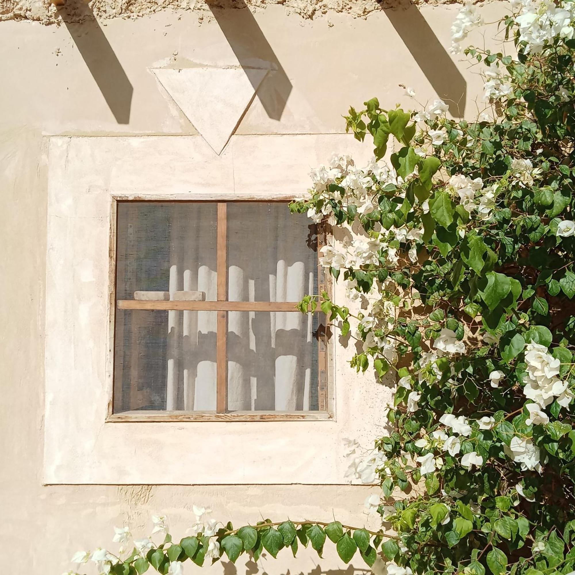 Tanirt Ecolodge Siwa Oasis Exterior photo