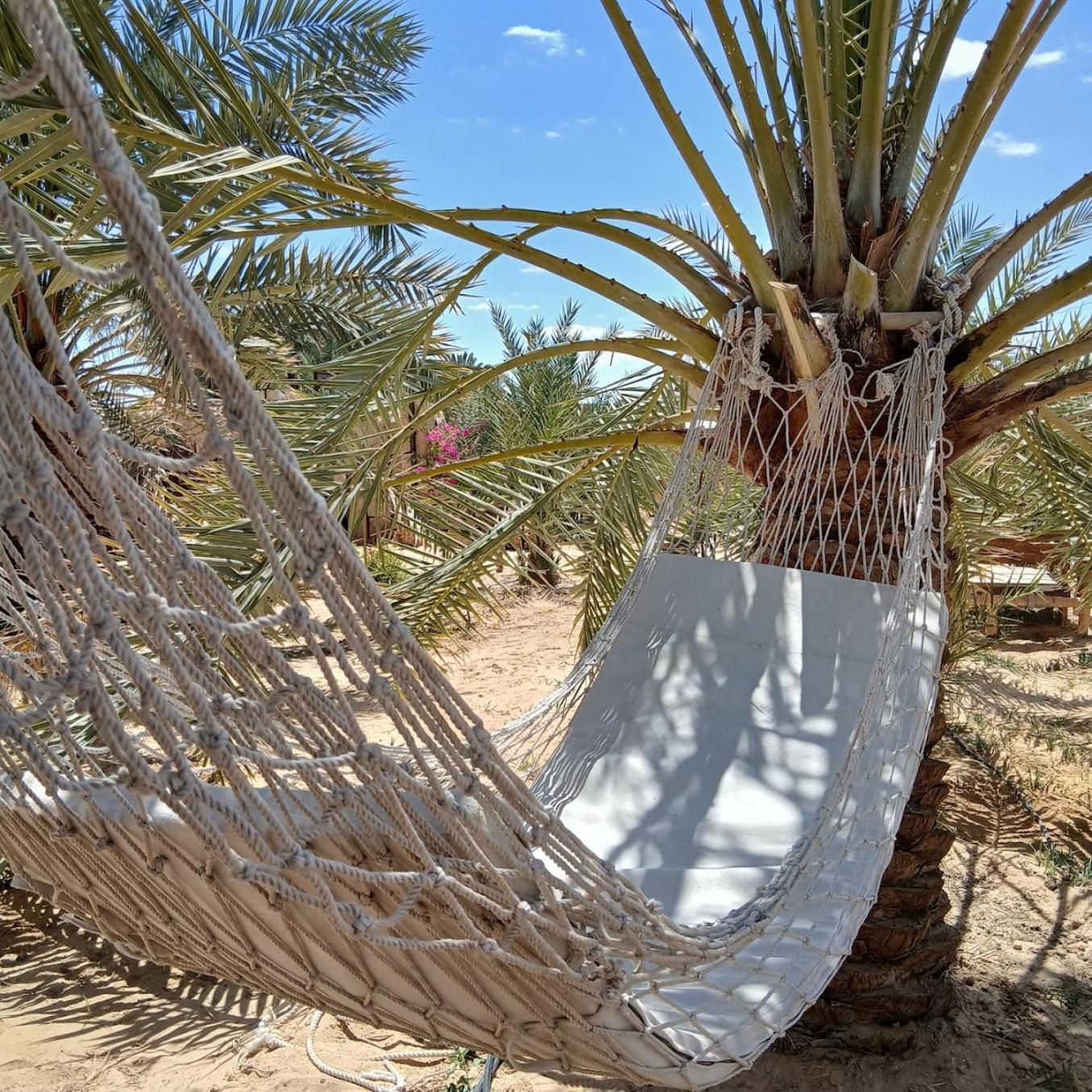 Tanirt Ecolodge Siwa Oasis Exterior photo